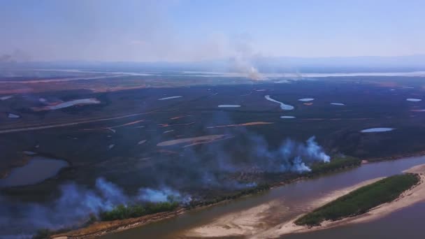 Fuego de estepa. Hierba seca ardiendo, humo de fuego — Vídeo de stock