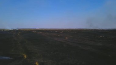 Steppe yangını. Yanan kuru otlar, ateş dumanı