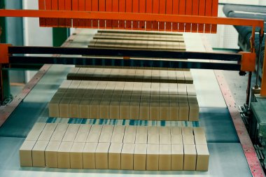 Tuğla üretimi, içi boş tuğla fabrikası. Tuğla üretimi, tuğla fabrikası.