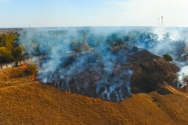 Feu Steppe Brûler Herbe Sèche Feu Fumée — Photo