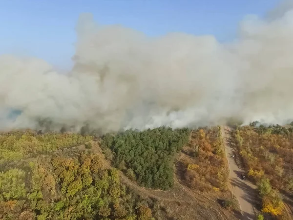 Лісова Пожежа Дим Навколишньої Території Дим Вогонь — стокове фото