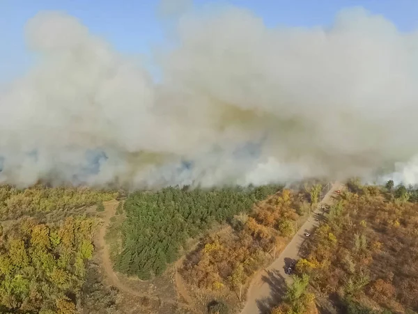 Feu Forêt Fumée Des Environs Fumée Feu — Photo