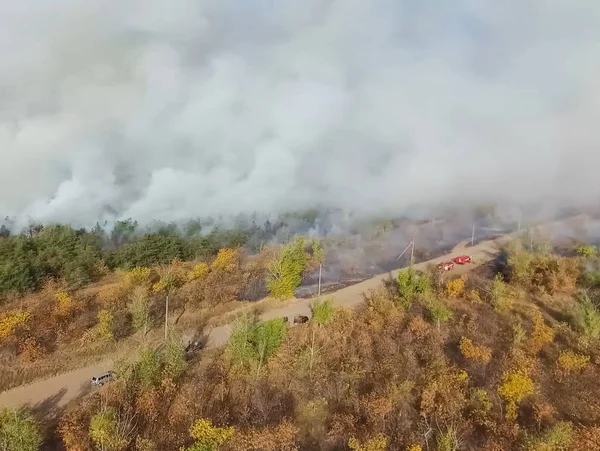 Forest Fire Smoke Surrounding Area Smoke Fire — Stock Photo, Image