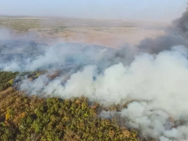 Лісова Пожежа Дим Навколишньої Території Дим Вогонь — стокове фото