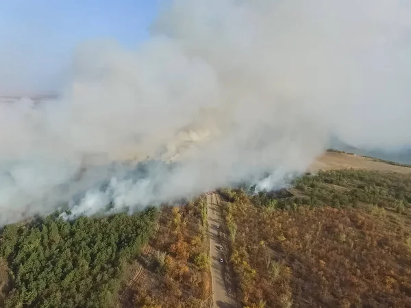 Forest fire, smoke of the surrounding area. smoke and fire.