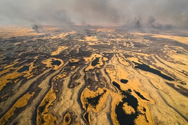 Tundra yangını. Kuru otları ve turba bataklıklarını yakmak, tundrada ateş ve duman çıkarmak.