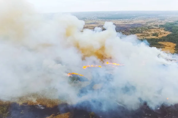 Степной Огонь Горящие Сухая Трава Огонь Дым — стоковое фото