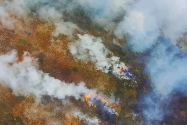 Incendio Forestal Humo Los Alrededores Humo Fuego — Foto de Stock