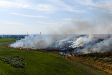 Steppe yangını. Yanan kuru otlar, ateş ve duman