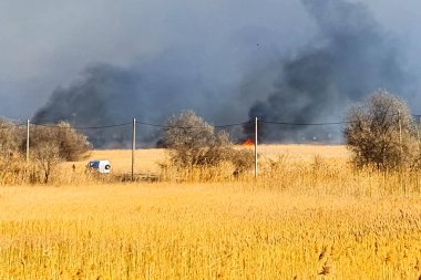 Steppe yangını. Yanan kuru otlar, ateş ve duman