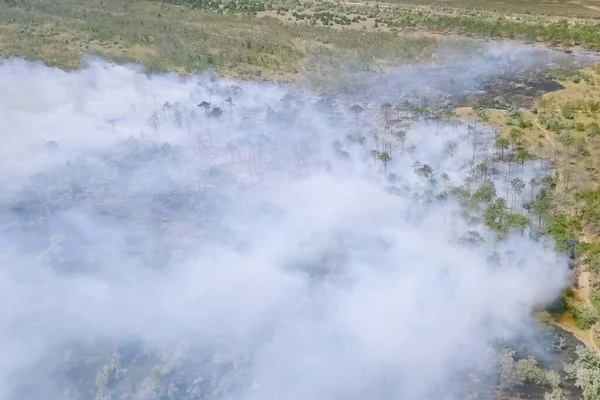 Лесной Пожар Дым Окрестностях Дым Огонь — стоковое фото