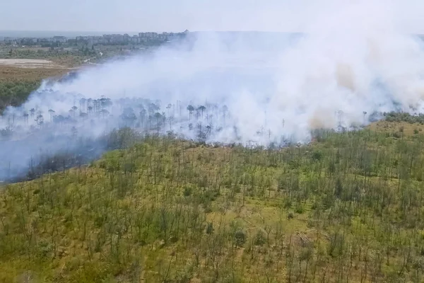 Лесной Пожар Дым Окрестностях Дым Огонь — стоковое фото
