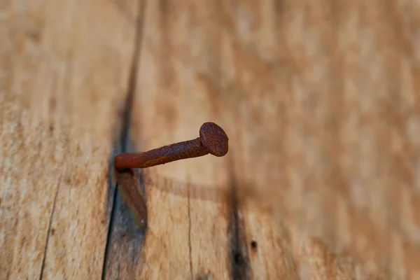 Rusty Nail sticking on board Royalty Free Stock Images