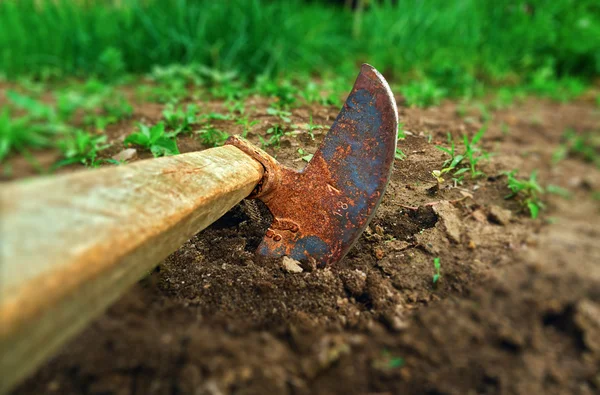 Vecchia zappa incastrata nel terreno — Foto Stock