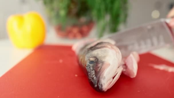 Šéfkuchař ruce jsou řezání čerstvých ryb na filety s nožem — Stock video