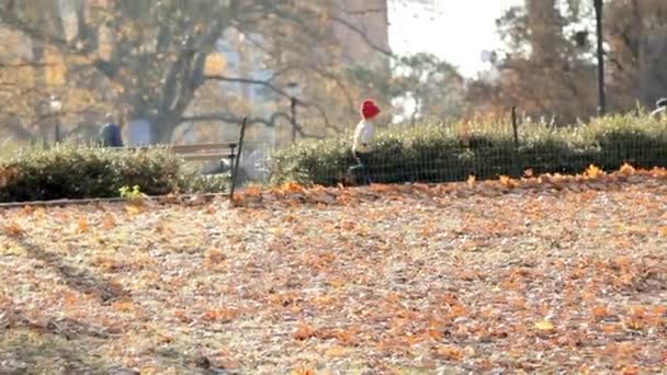 gamin est en cours d'exécution dans le parc de la ville d'automne rire et jouer et sauter au ralenti .