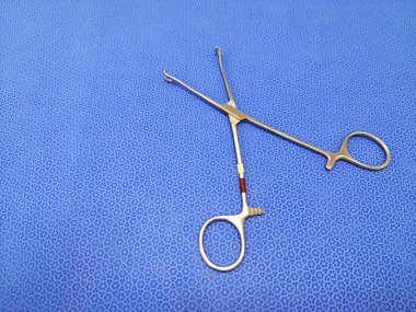 Babcock Peçete Forseps