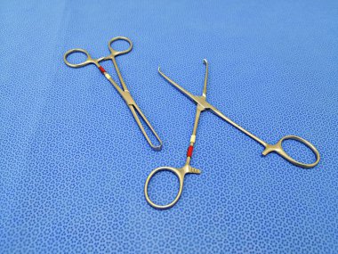 Masada İki Allis Forseps