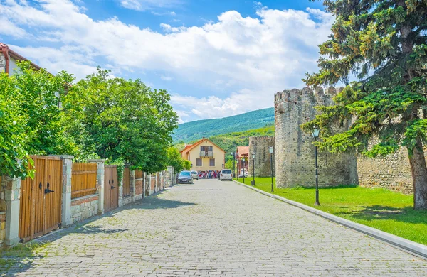 Excursión a Mtskheta — Foto de Stock