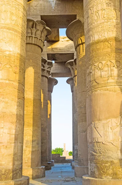 Las columnas masivas en el templo de Kom Ombo —  Fotos de Stock