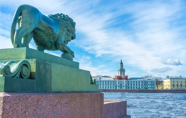 The bronze lion at Neva River bank — Stock Photo, Image