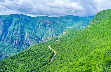 Vorotan Kanyonu'nun yeşil ormanları