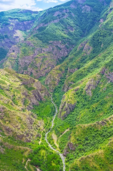 The river in canyon — Stock Photo, Image