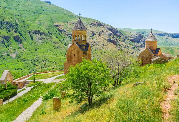 Kanyon'ın yamacında — Stok fotoğraf