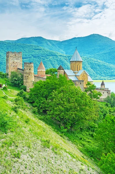 Le château médiéval de la rivière Aragvi — Photo