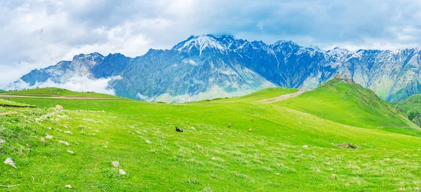 Expanses do Parque Nacional Kazbegi — Fotografia de Stock
