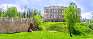 Tsaritsyno vadisinde huş ağacı