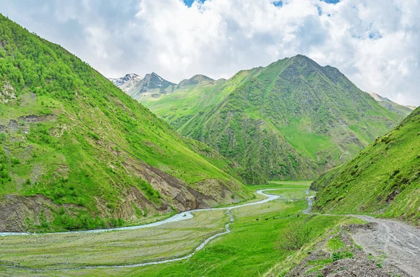 El valle verde — Foto de Stock