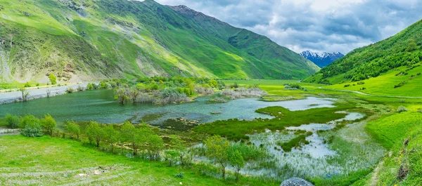 Het Wetland in Sno Gorge — Stockfoto