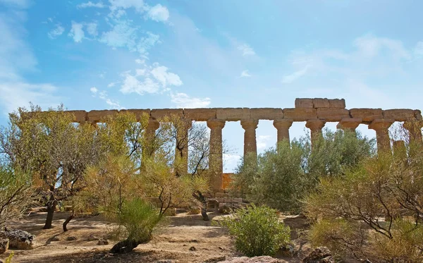 O Templo atrás das árvores — Fotografia de Stock