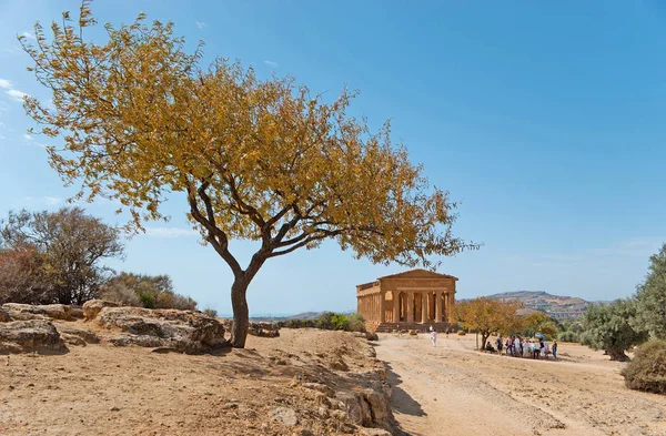 Los templos griegos en Sicilia —  Fotos de Stock