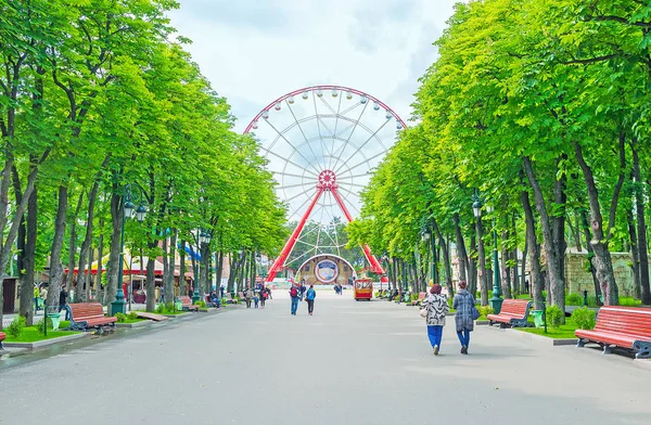 Het centrale steegje van Gorky Park — Stockfoto