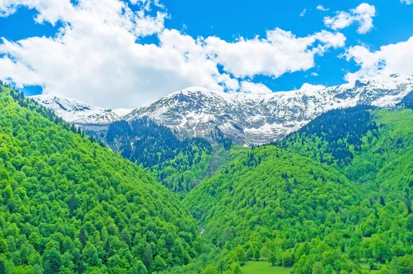 El valle verde — Foto de Stock