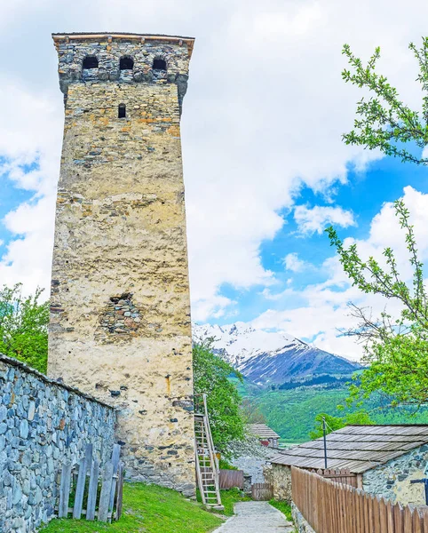 Visit the Svan tower
