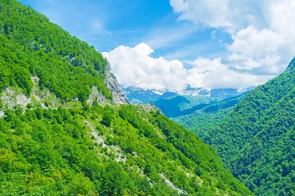 Las verdes montañas — Foto de Stock