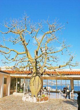 Giriş salonu Jardin Eksotik Monaco