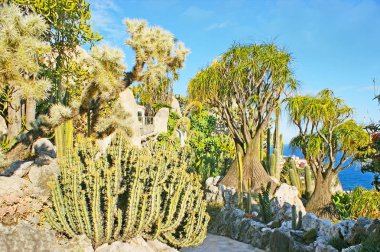 Monako tropikal Bahçe