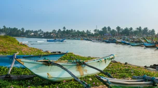Il vecchio porto peschereccio dello Sri Lanka — Video Stock