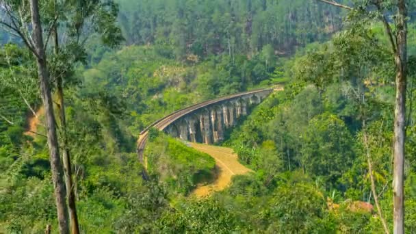 A velha ponte — Vídeo de Stock