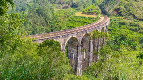 The Nine Arch Bridge — Stock Video