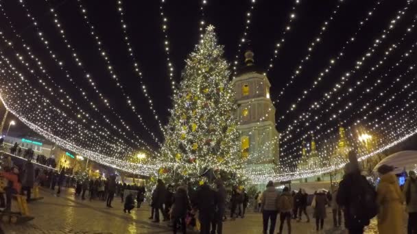 Evening at the Christmas tree — Stock Video