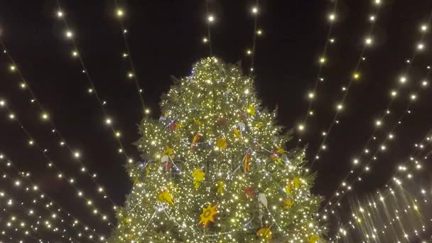 A karácsonyfa — Stock videók
