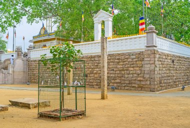 Bodhi ağacı Tapınağı