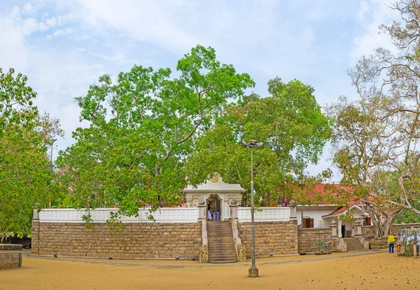 Panorama z chrámu strom bódhi — Stock fotografie