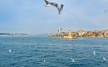 İstanbul gezileri