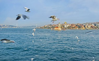 Istanbul'da kış